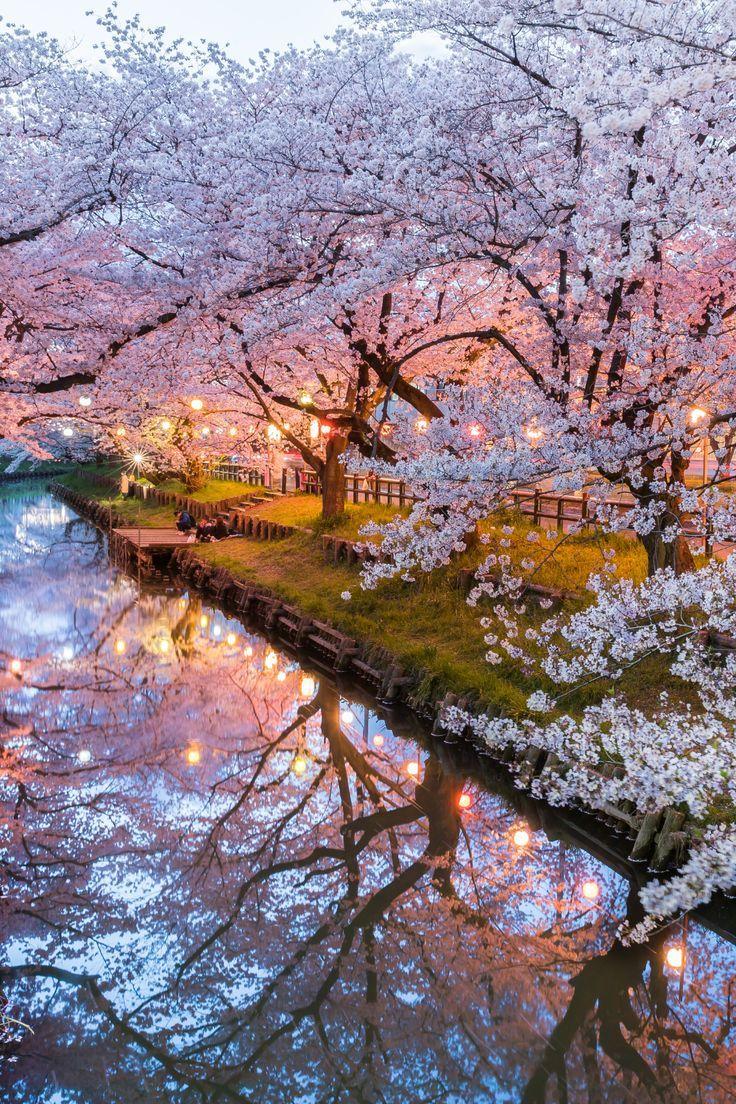 Secret Eden's Whispering Blooms